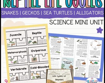 Reptilien Lebenszyklen Wissenschaft Mini Einheit | Klasse 2-3 Hausschule | Schlangen Geckos Meeresschildkröten Alligatoren