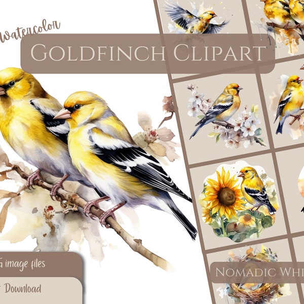 American Gold Finch, Birds of America Clipart, watercolor painting, Bird watching PNG, Commercial Right