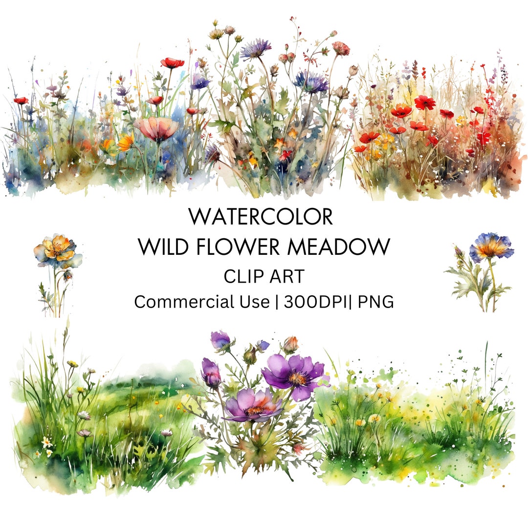 Watercolor Wildflower Meadow Clip Art Meadow Flowers PNG Etsy