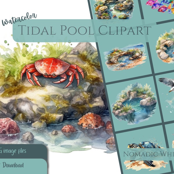 Watercolor Tidal Pool Clip Art, Ocean Seascape, Beach Clipart, Instant Digital Download for Personal or Commercial Use, 300DPI, PNG