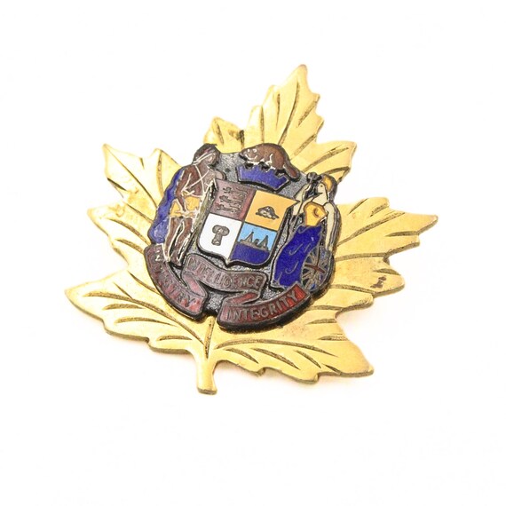 Vintage Intelligence Industry Intelligence Maple … - image 4