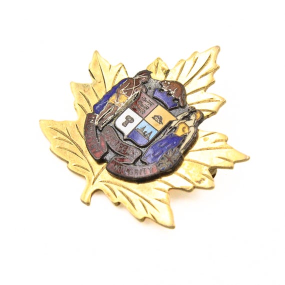 Vintage Intelligence Industry Intelligence Maple … - image 6