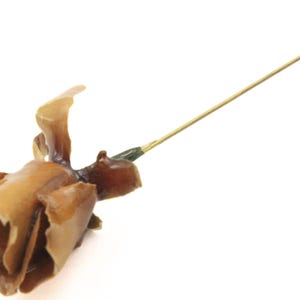 May include: A gold pin with a brown rose-shaped design. The rose is made of ceramic and has a green stem.