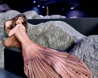 May include: A woman with long brown hair wearing a green top and a brown mermaid tail with a textured surface. The tail has a large fin with a scalloped edge.