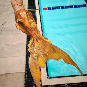 Cola de sirena de silicona realista, monoaleta de silicona, cola de sirena, cola de sirena de silicona, disfraz de sirena, cola de sirena híbrida, peso ligero