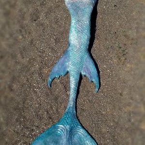Long fish mermaid tail, extended mermaid tail, Full silicon Mermaid tail, Mermaid, pirate mermaid tail, mermaid costume, siren mermaid tail