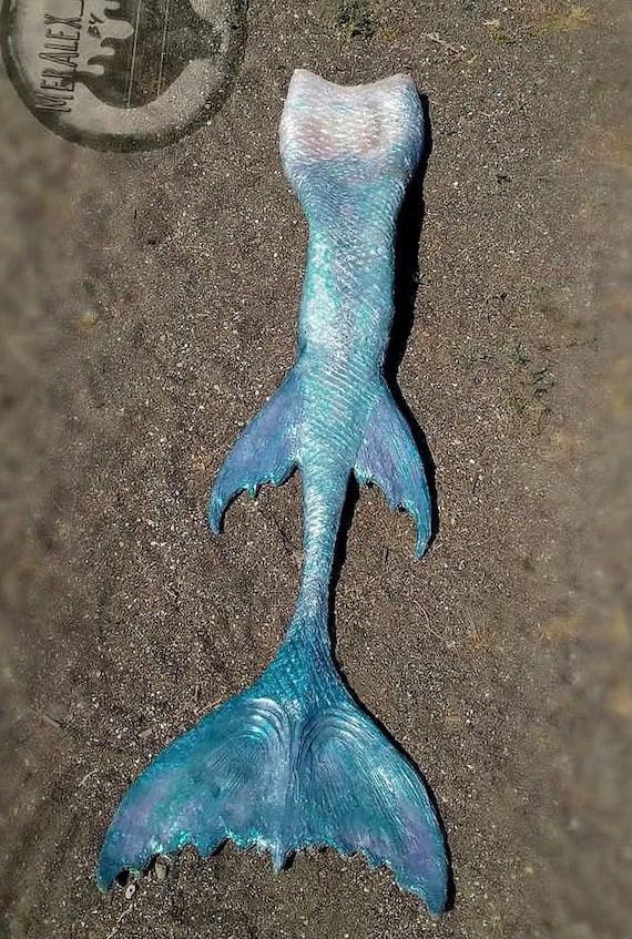 長い魚のマーメイドテール、延長マーメイドテール、フルシリコン