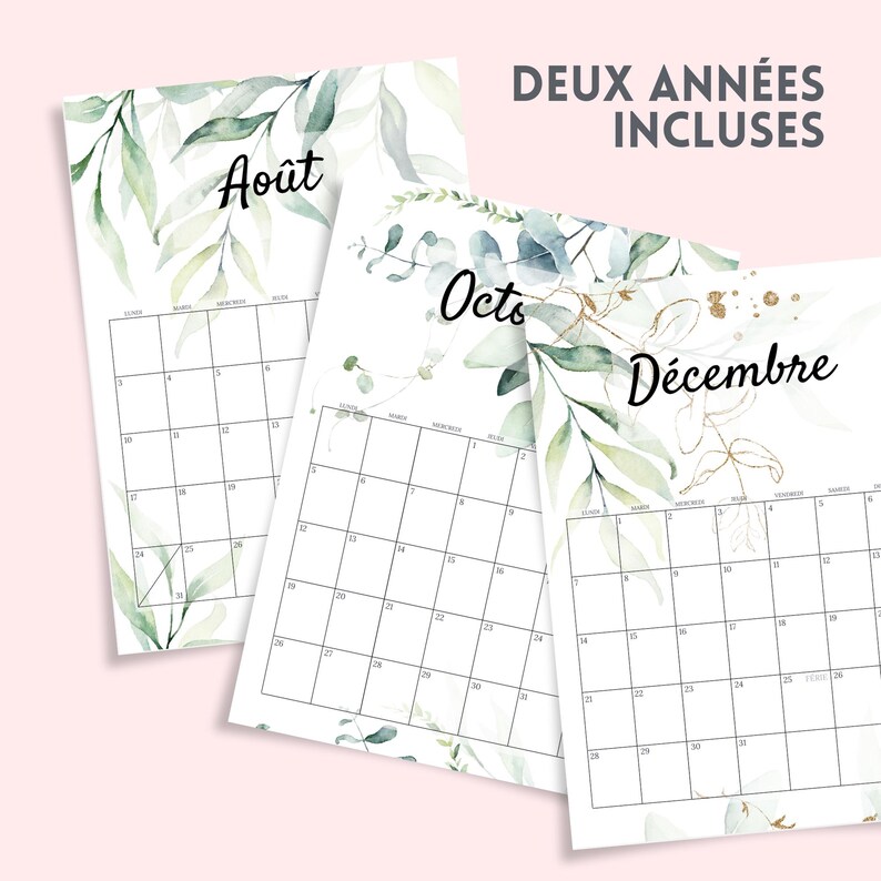 Calendario 20252026 Planificador Mensual Eucalipto Agenda Perpetua PDF