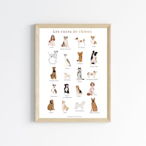 Poster Hunderassen - Poster Illustration Hund - Modernes Veterinärplakat - Les Petits PDF
