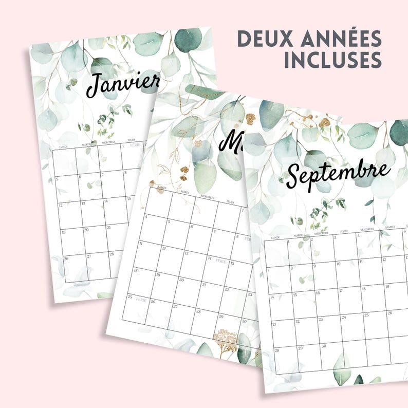 Calendario 20252026 Planificador Mensual Eucalipto Agenda Perpetua PDF