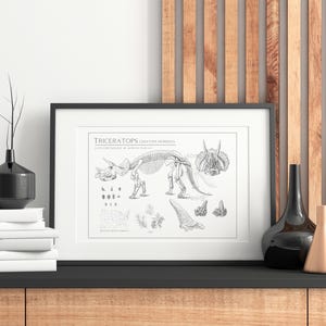 Dino Digital Art - Vintage Triceratops Fossil Illustrations - Paleoart Design for Printing and Personal Use -  Posters, Cards, Backgrounds