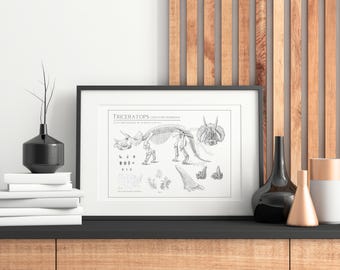 Dino Digital Art - Vintage Triceratops Fossil Illustrations - Paleoart Design for Printing and Personal Use -  Posters, Cards, Backgrounds