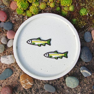 May include: A white, round concrete tray with two embroidered fish patches. The fish are green, yellow, and white with black outlines. The tray is surrounded by rocks, succulents, and a brown surface.