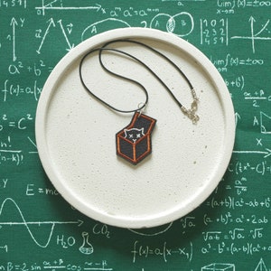 Necklace SCHRODINGER&#39;S CAT, in the box, two sided, quantum mechanics, intelectual jewelry, physics accessories, cat lover