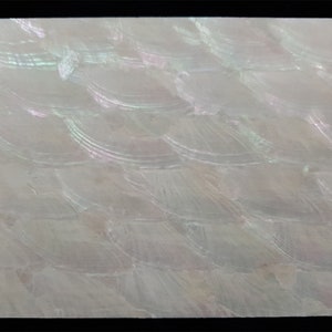 1 pcs-Handpicked Donkey Ear Abalone Inlay Shell Veneer Sheet Crafts 9.5x5.5x0.006inch