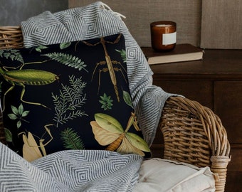 May include: A wicker armchair with a white throw blanket and a black and green throw pillow featuring an insect print. A wooden dresser with four drawers and a cabinet door is behind the chair. A brown vase with dried flowers and a candle holder with five white candles are on top of the dresser.