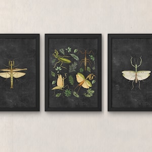 Praying Mantis Art, Vintage Botanical Art, Insect Art, Printable Wall Art, Printable Wall Decor, Printable Wall Art, Forestcore Wall Decor