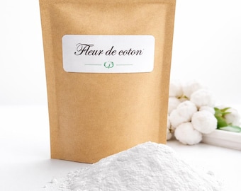 Vacuum cleaner powder