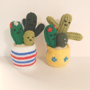 Pode incluir: Duas plantas de cacto de malha em vasos. O cacto à esquerda é verde com um vaso listrado de vermelho e azul. O cacto à direita é verde e amarelo com um vaso amarelo com flores azuis.