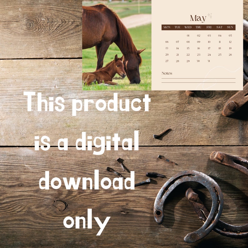 Adorable Horse Calendar 2024, Printable Horse Calendar, PDF Calendar