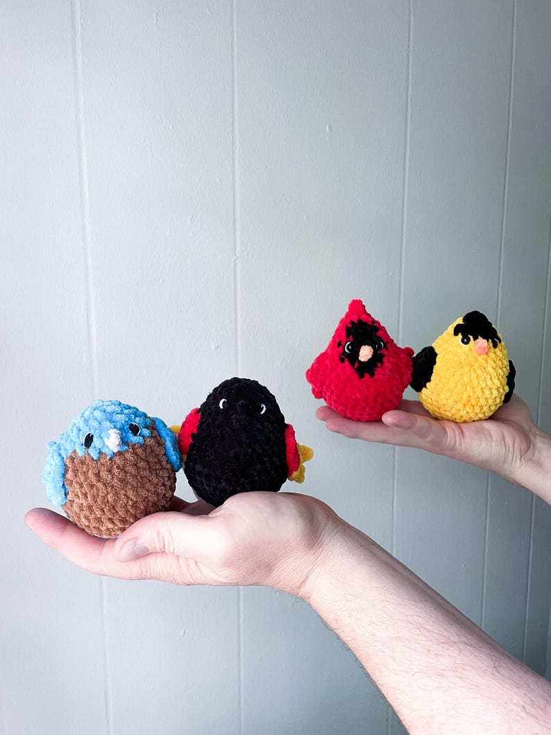 May include: Four crocheted bird plushies in different colors: blue, black, red, and yellow. The birds are all sitting on a person's hands.