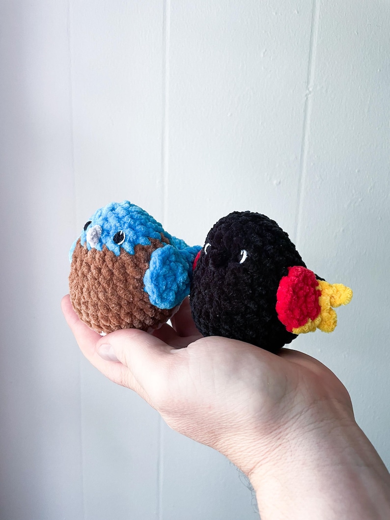May include: Two crocheted bird plushies. One is brown with blue wings and the other is black with red and yellow wings.