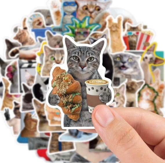 Cute Cat Cute Cat Stickers Graffiti Animal Decals DIY For Laptop