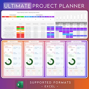 Project Activity Tracker | Excel Project Planner | Project Timeline | GANTT Chart | Task Spreadsheet | 2024 Digital Template