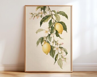 May include: A framed botanical wall art print featuring a watercolor illustration of a lemon tree branch. The artwork displays two bright yellow lemons, green leaves, and white blossoms against a light cream-colored background.