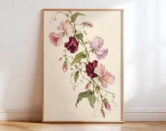 May include: A framed botanical print featuring a delicate vine of sweet pea flowers in shades of deep burgundy, soft pink, and pale lavender. The illustration includes green leaves and curling tendrils set against a cream-colored background.