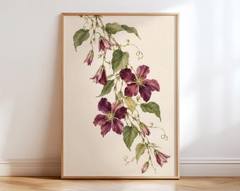 May include: A framed botanical print featuring a cascading vine of deep purple clematis flowers and buds with green leaves on a cream background. The artwork is encased in a light-toned wooden frame, showcasing a detailed floral illustration.