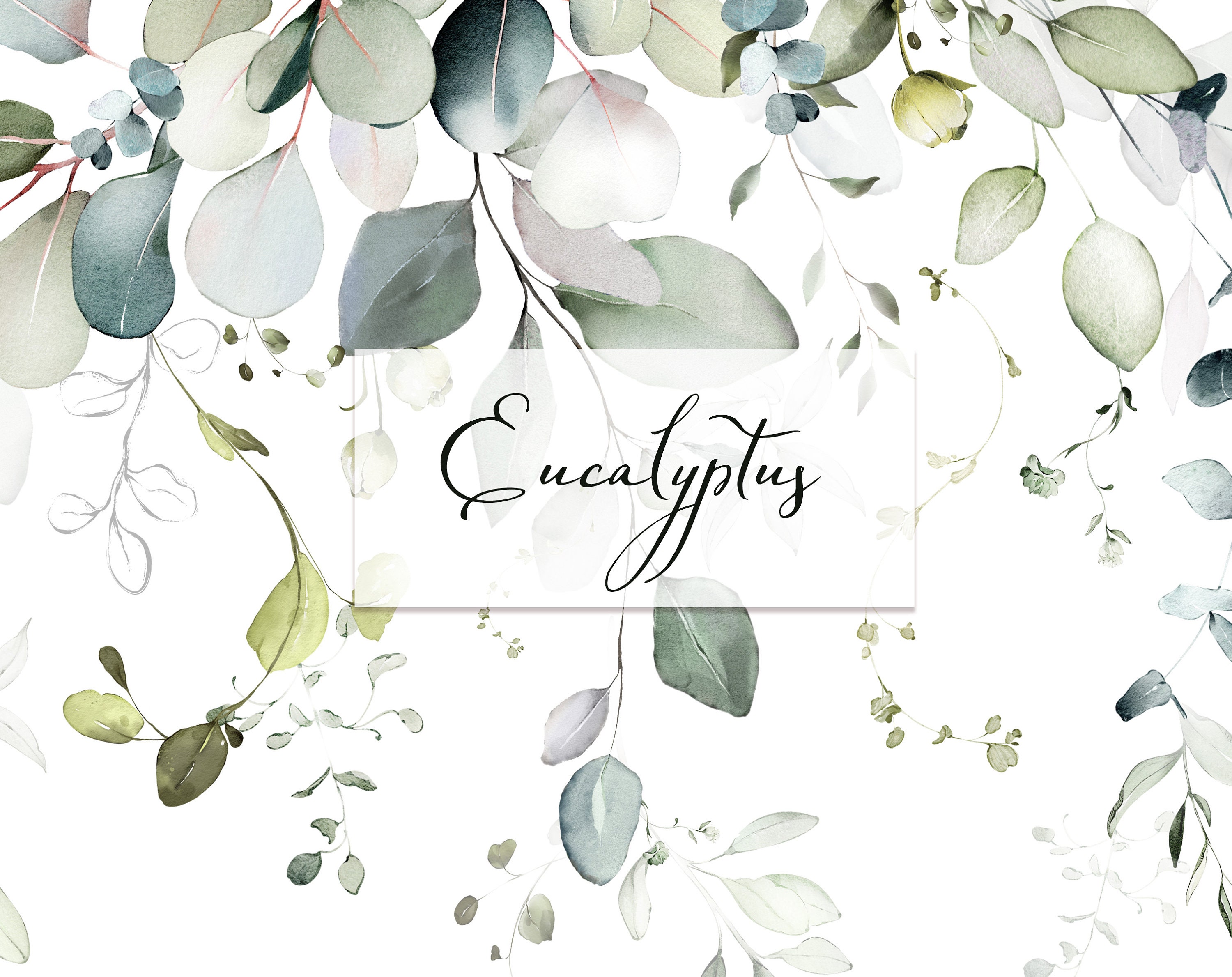 Watercolor Eucalyptus Greenery Bouquets PNG Clipart Set, Wedding ...