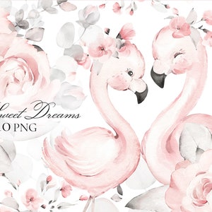 Aquarel baby flamingo bloem Roze rozen bloemen Boeketten PNG Clipart Lisima, digitale babydouche verlaat eucalyptus