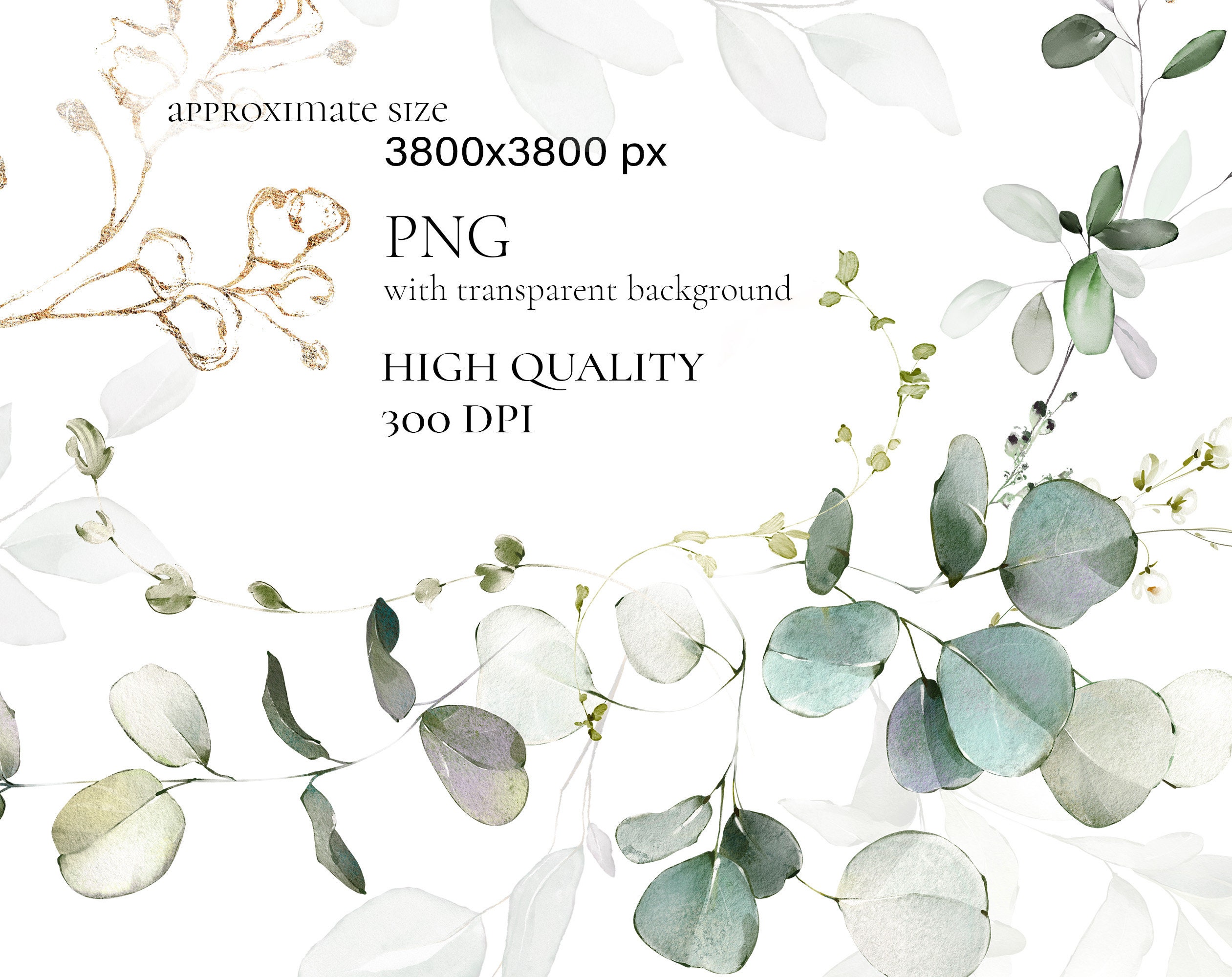 Watercolor Eucalyptus Greenery Bouquets PNG Clipart Wedding - Etsy