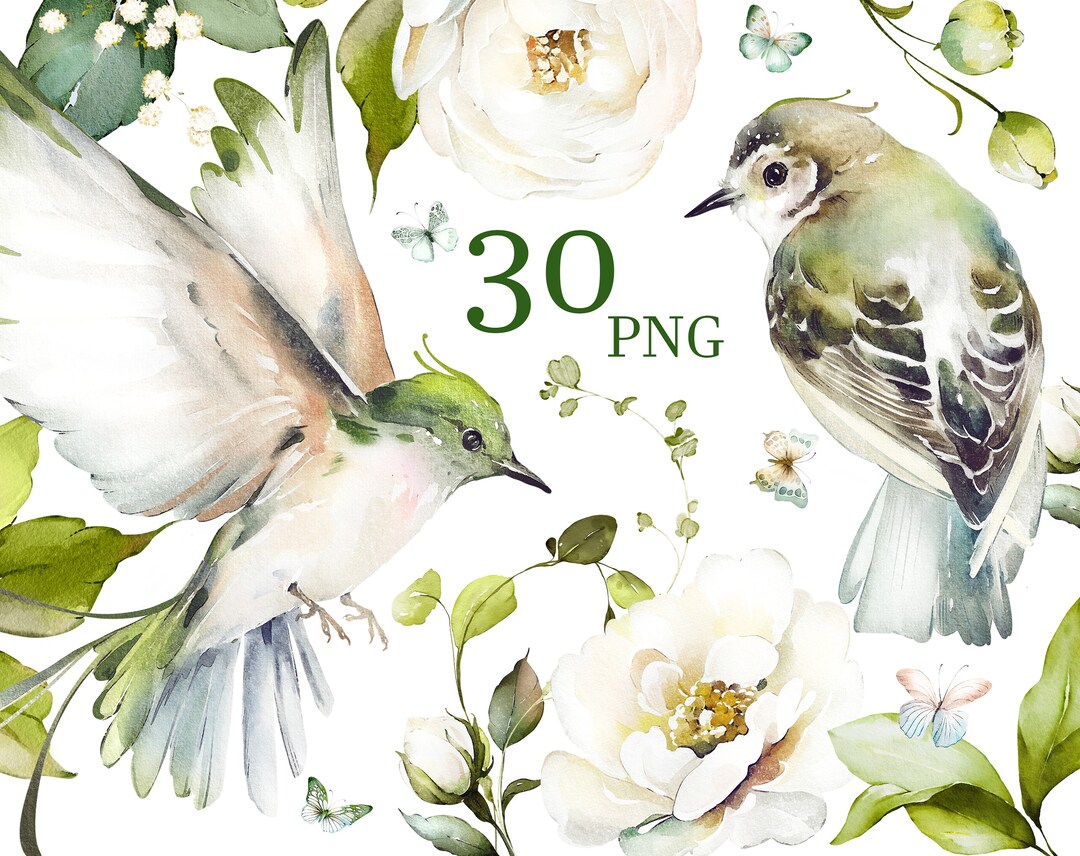Watercolor Flower White Cream Roses Floral Garden Bouquets PNG Clipart ...