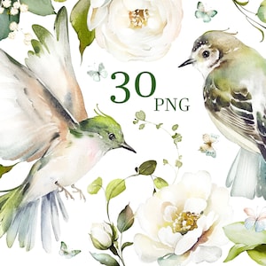 Acuarela flor blanco crema rosas jardín floral Ramos PNG Clipart, boda digital verde hojas hierbas vegetación