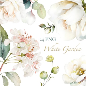 Aquarelle fleur blanc crème roses floral PNG Clipart, mariage numérique feuilles vertes herbes verdure Lisima clip art numérique
