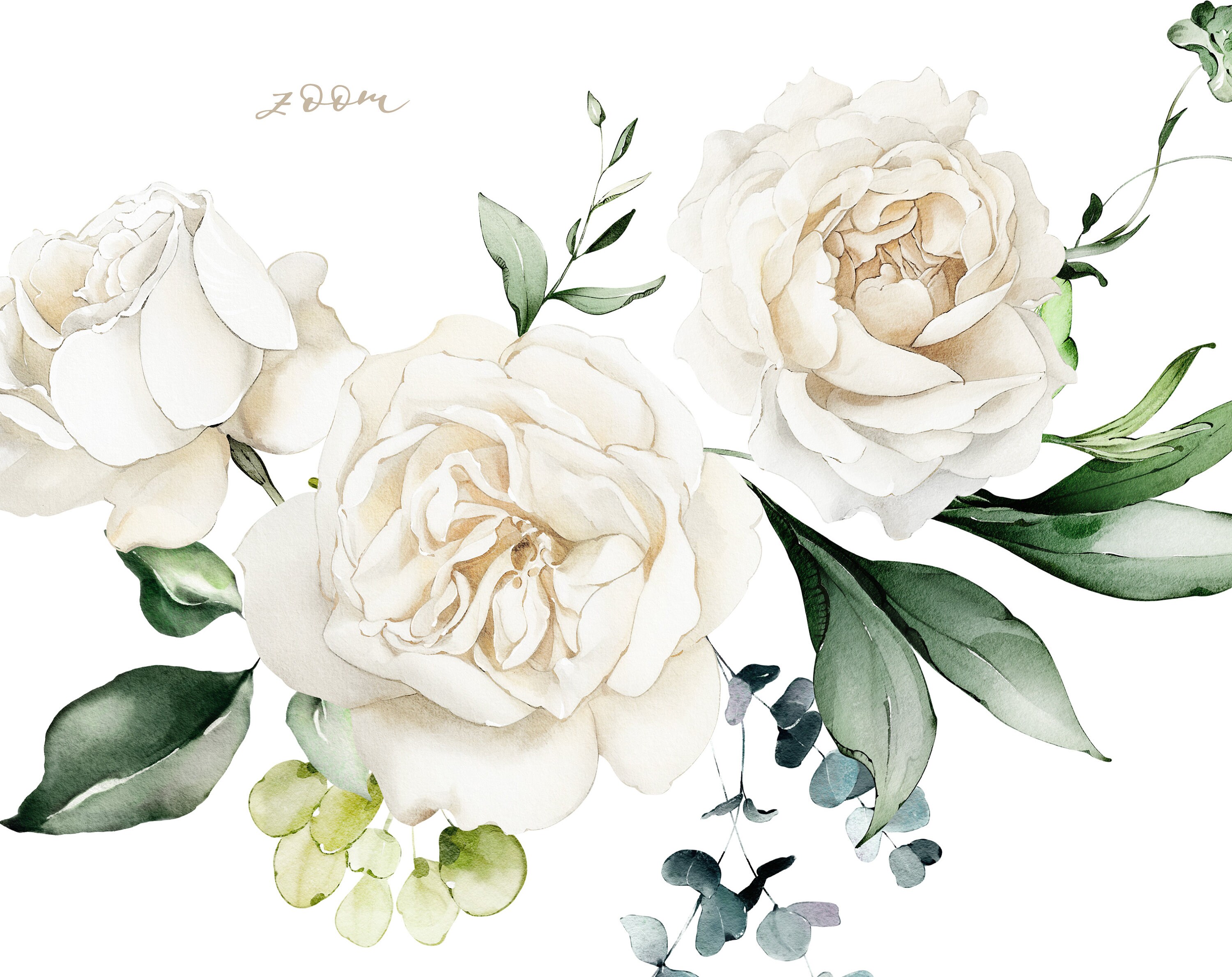 Watercolor Flower White Cream Roses Floral Garden Bouquets PNG Clipart ...
