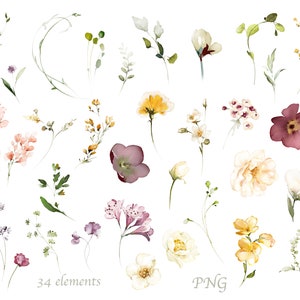 Watercolor Flower White Cream Roses Floral Garden Wild Set PNG Clipart ...