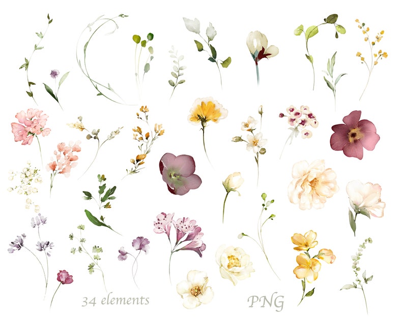 Watercolor Flower White Cream Roses Floral Garden Wild Set PNG Clipart ...