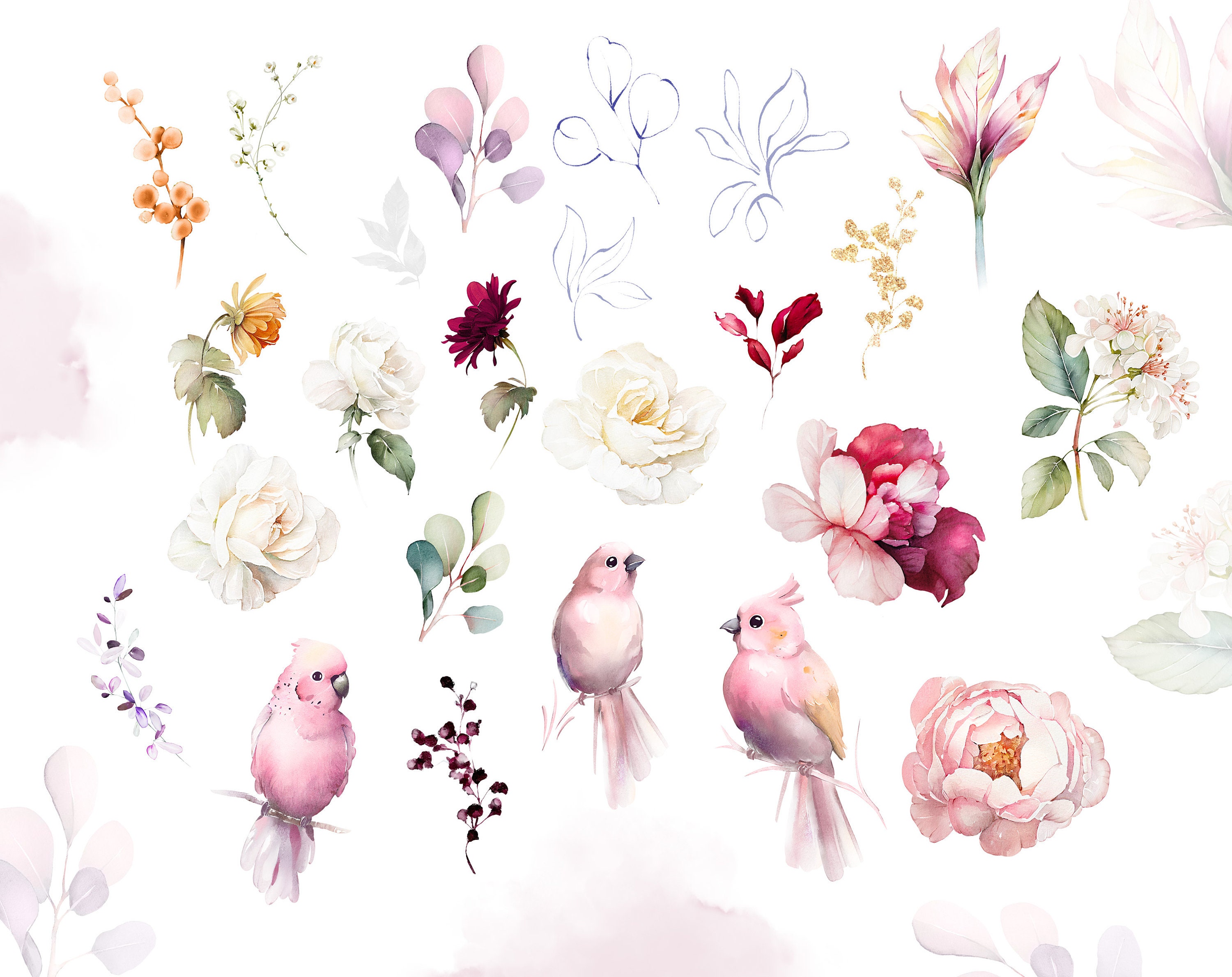 Watercolor Flower White Cream, Pink Roses Peonies Floral Garden ...