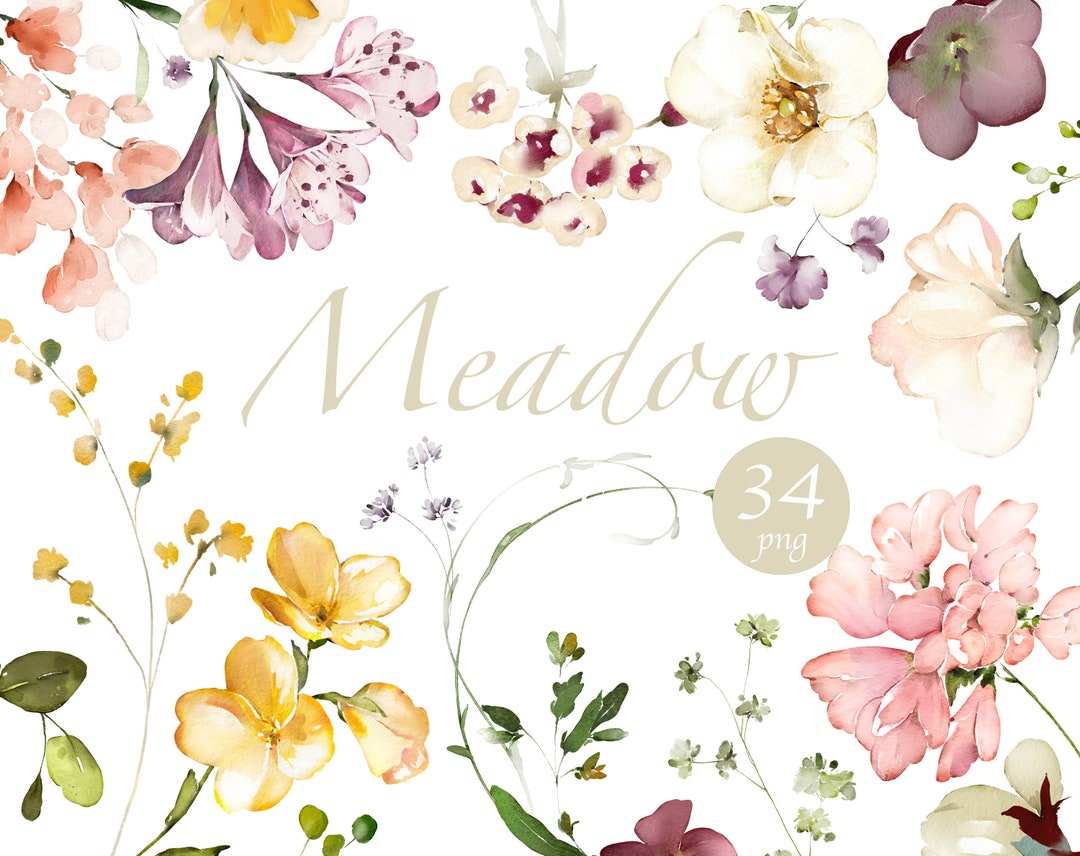 Watercolor Flower White Cream Roses Floral Garden Wild Set PNG Clipart ...
