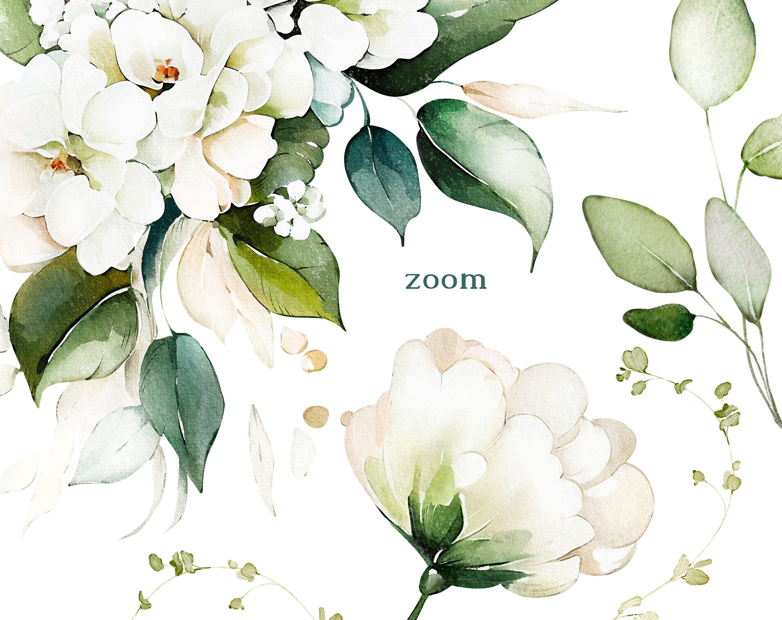 Watercolor Flower White Cream Roses Floral Garden Elements PNG Clipart ...