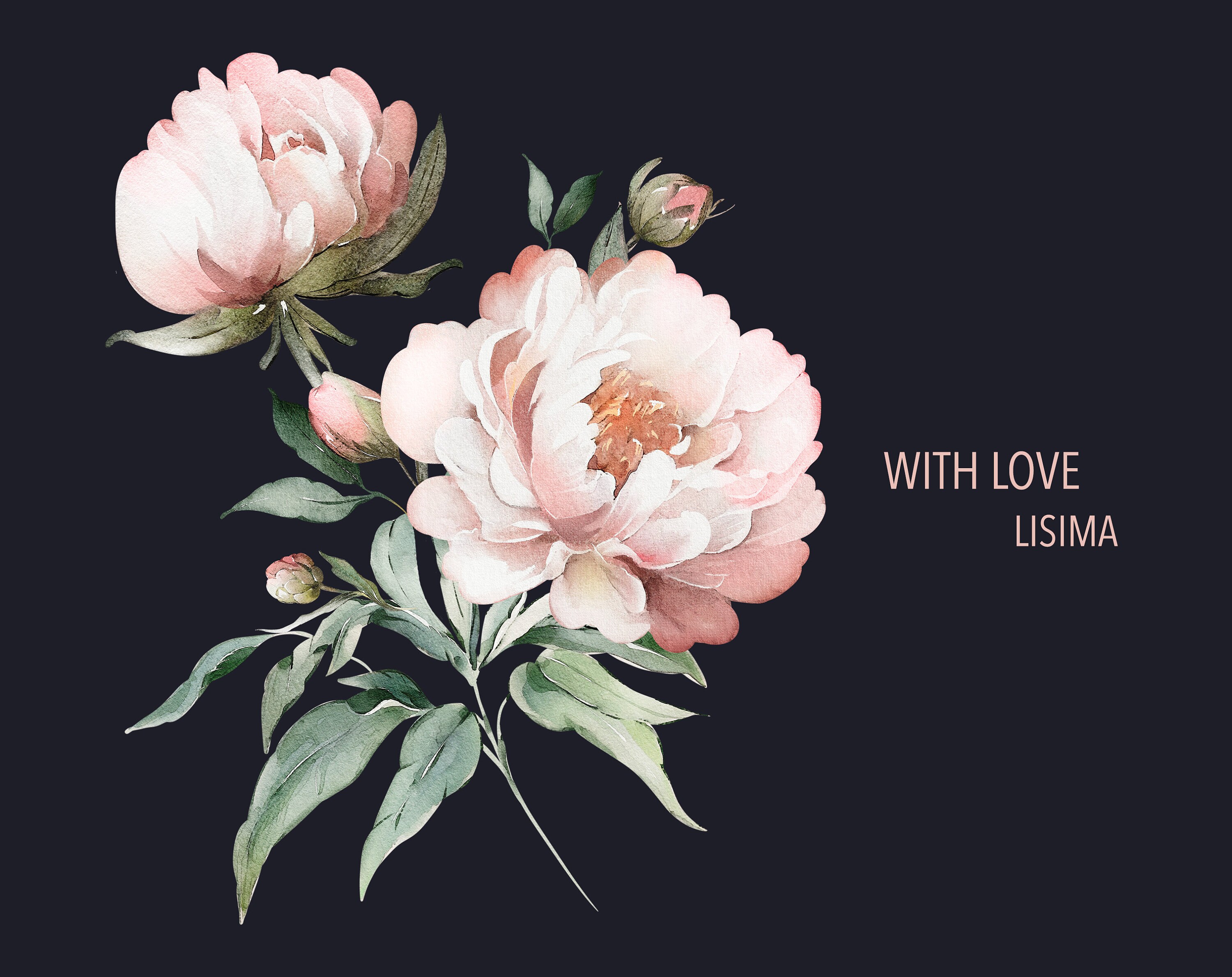 Watercolor Flower Pink Peonies Floral Garden Elements PNG Clipart ...