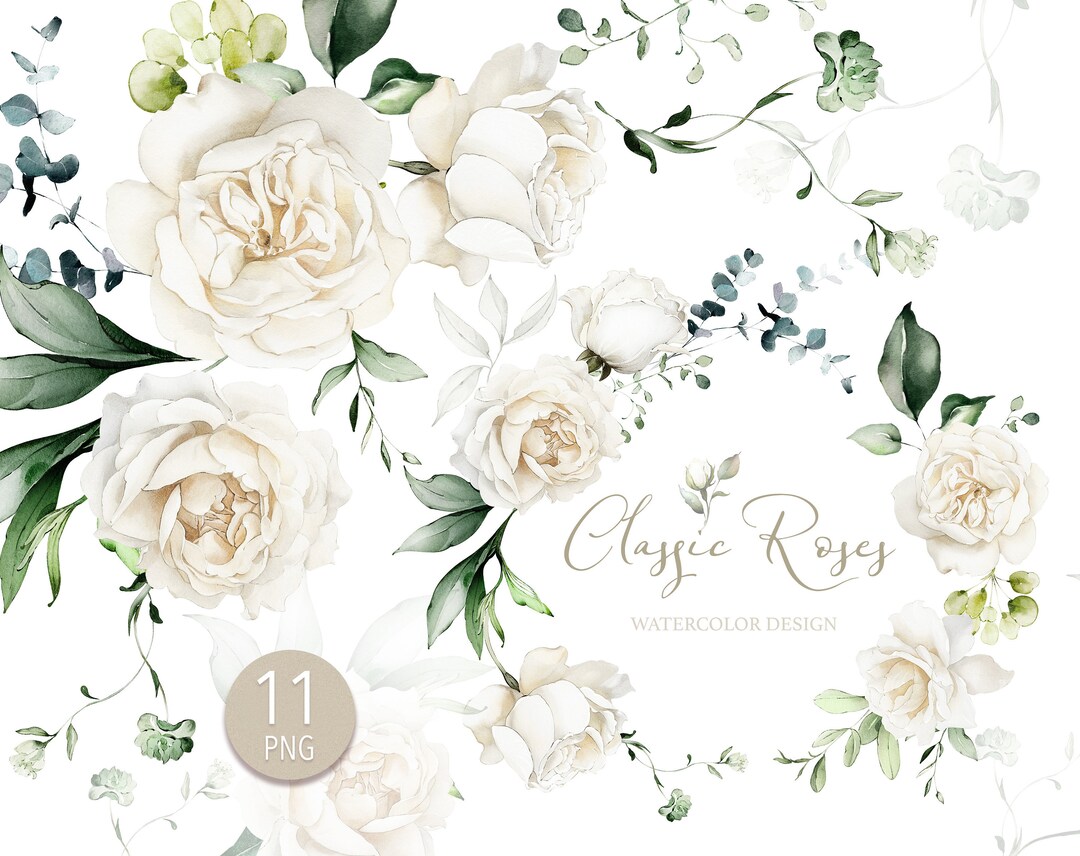 Watercolor Flower White Cream Roses Floral Garden Bouquets PNG Clipart ...