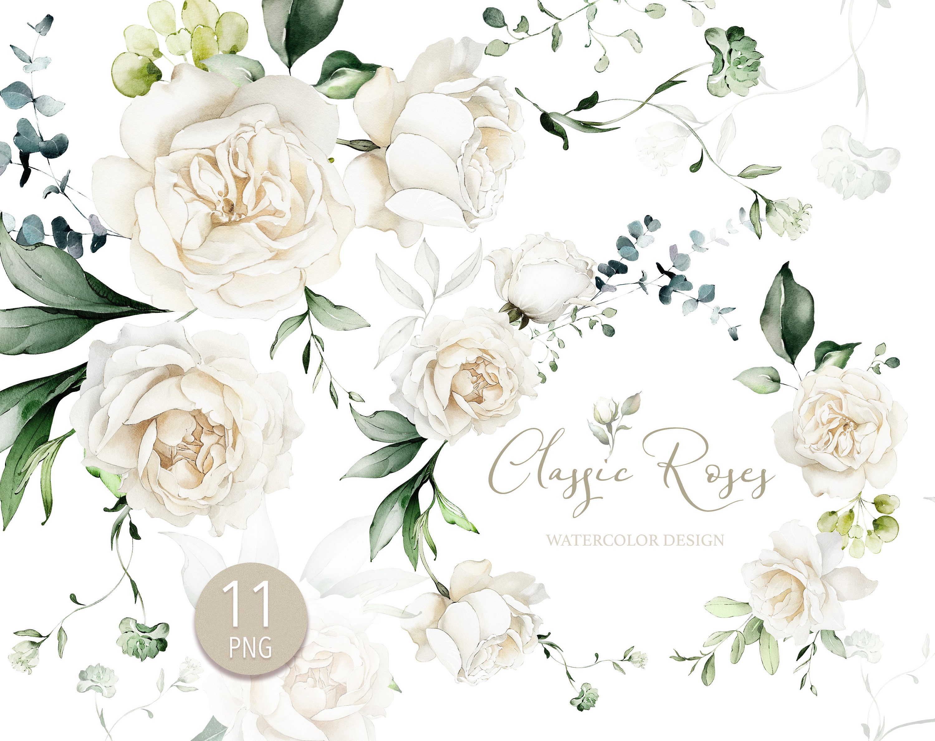 Watercolor Flower White Cream Roses Floral Garden Bouquets PNG Clipart ...