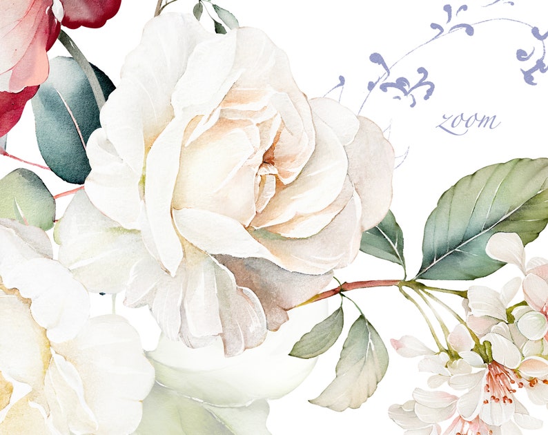 Watercolor Flower White Cream Roses Pink Floral Garden - Etsy