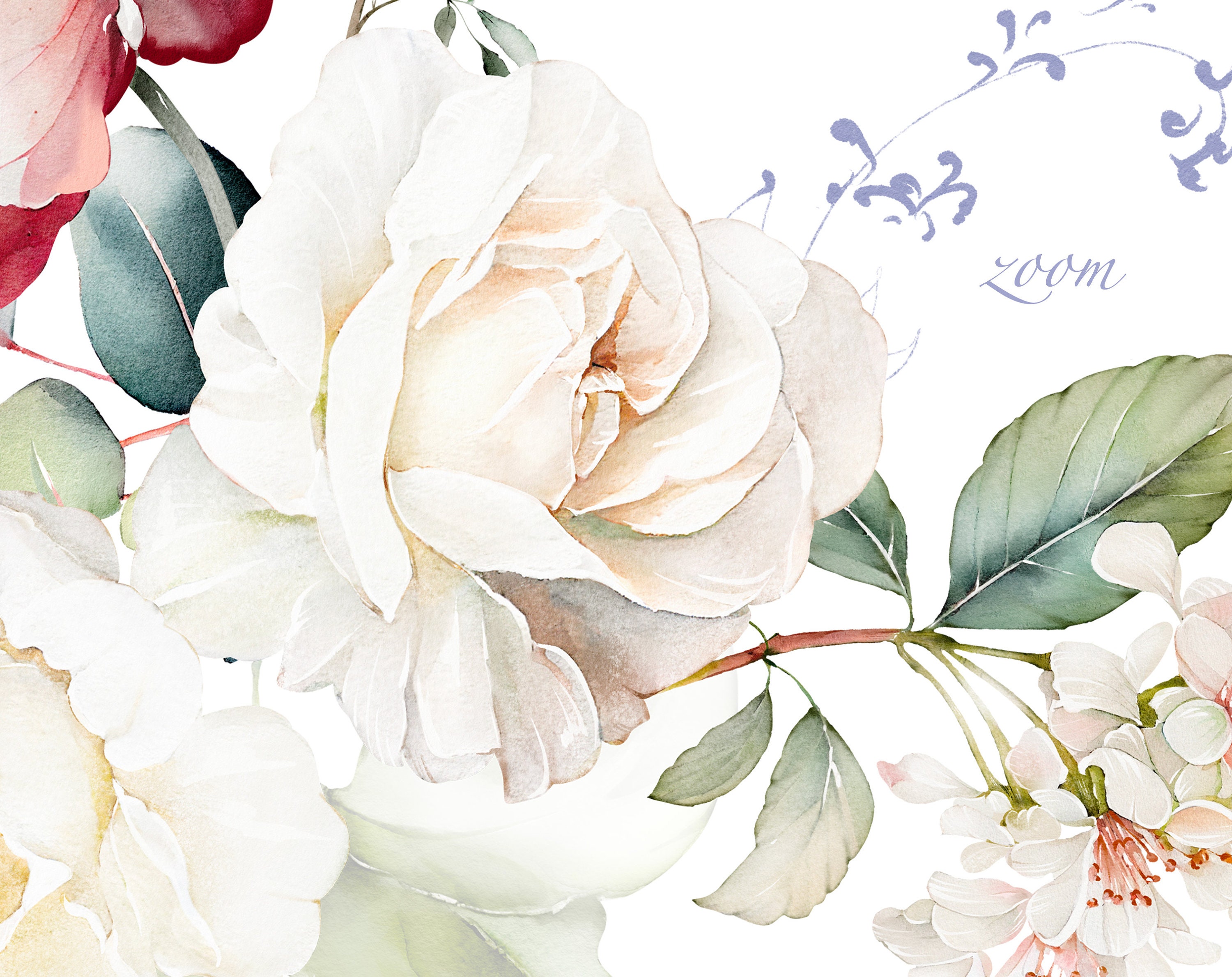 Watercolor Flower White Cream Roses, Pink Floral Garden Elements PNG ...