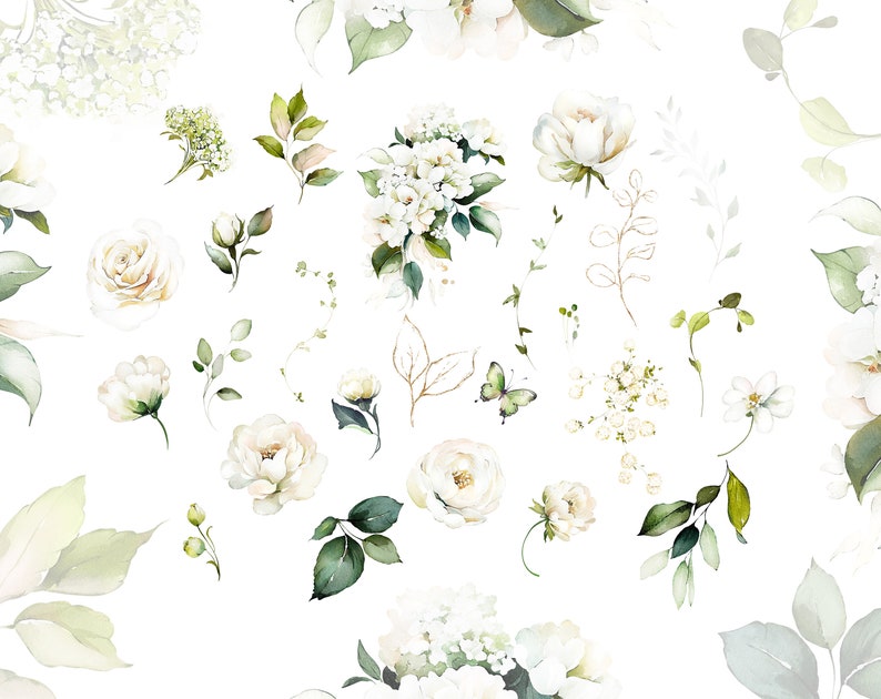 Watercolor Flower White Cream Roses Floral Garden Elements PNG Clipart ...