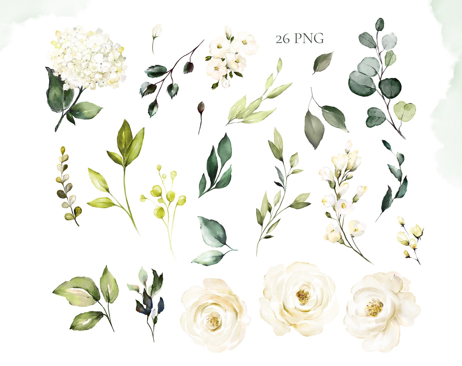 Watercolor Flower White Roses Floral Garden PNG Clipart, Wedding ...